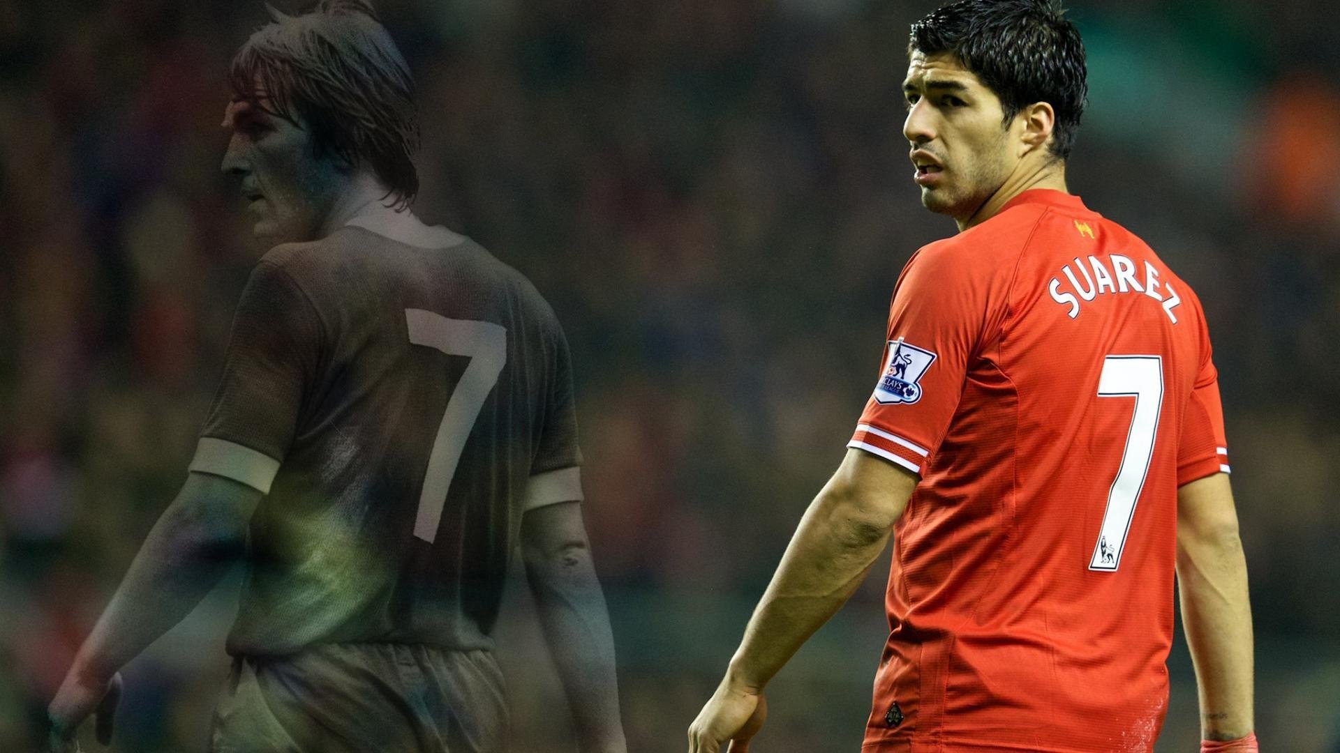 _骑士核心状态火热，团队士气高涨_，骑士队伍成员